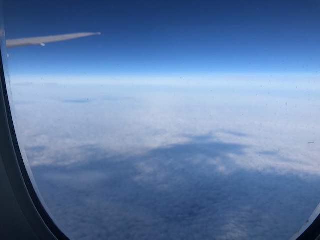 Payment  Visa. AMEX, PayPal